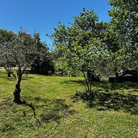 Les Demeures Du Clos Niozelles Buitenkant foto